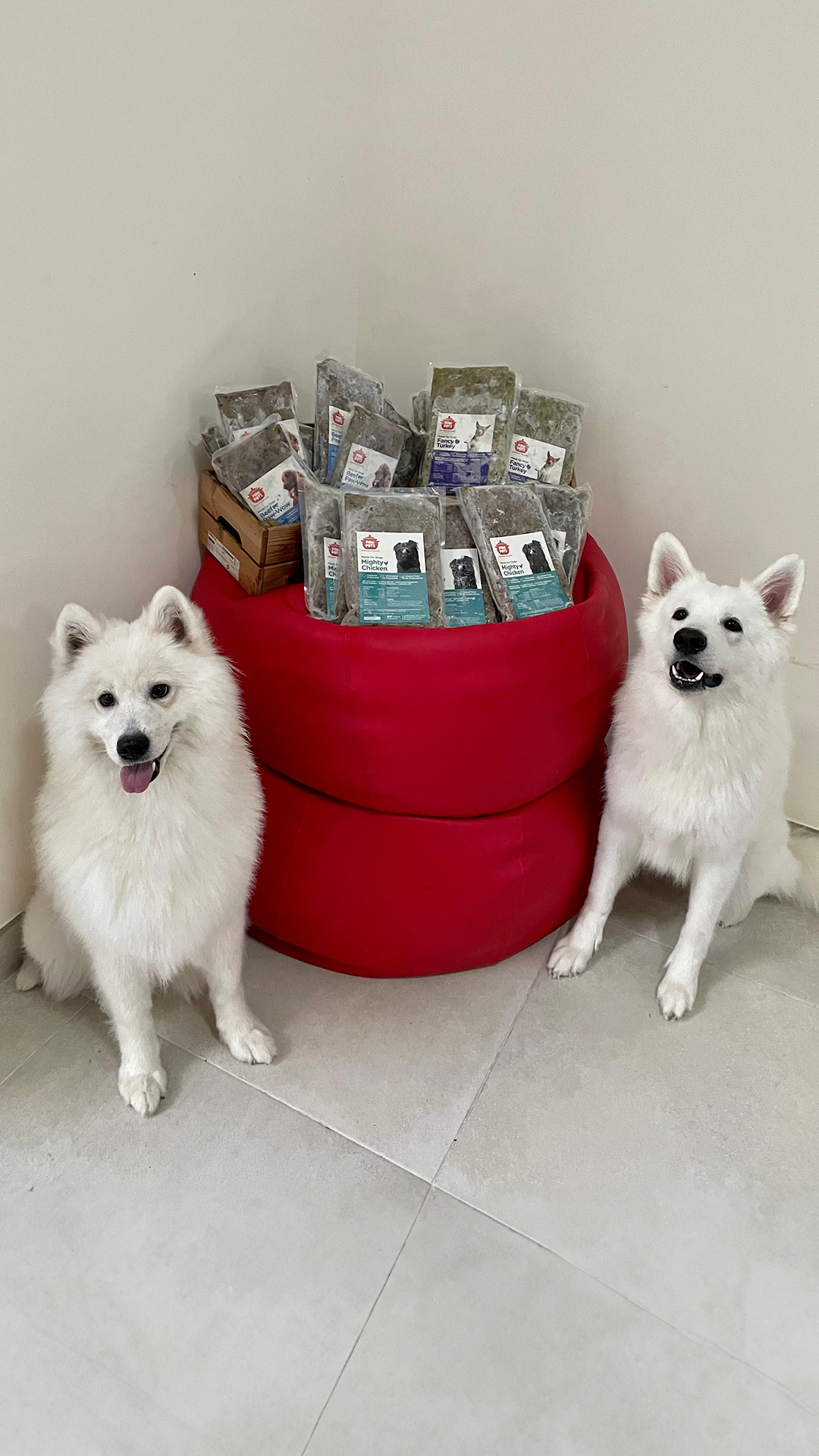 PawPots UAE Facebook ad: Vet-approved meals delivered straight to your door Healthy…