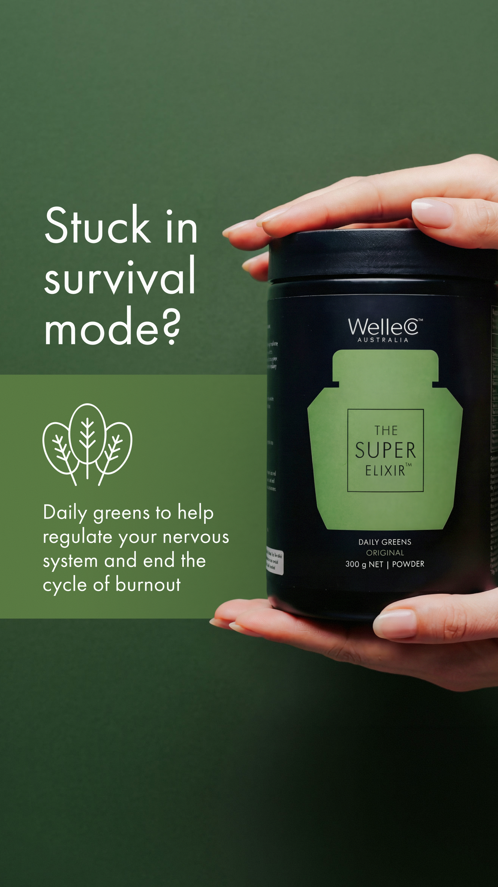 WelleCo Facebook ad