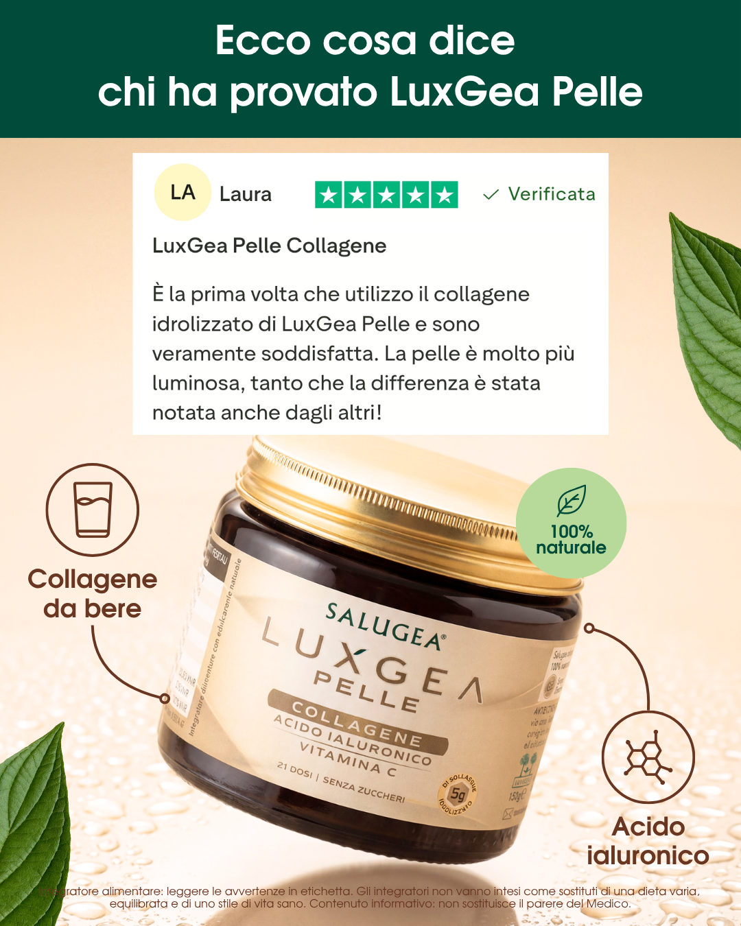 Salugea Facebook ad