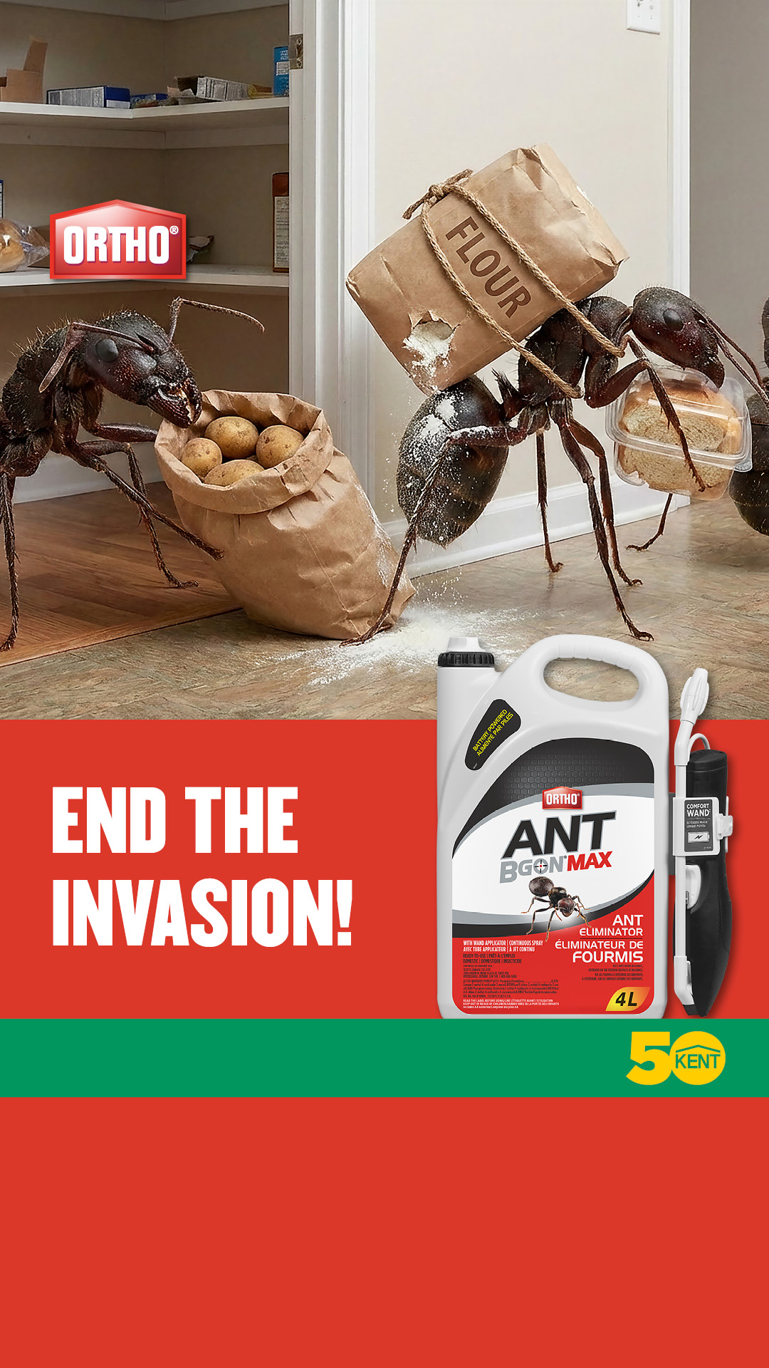 Kent Building Supplies Facebook ad: End the Ant Problem