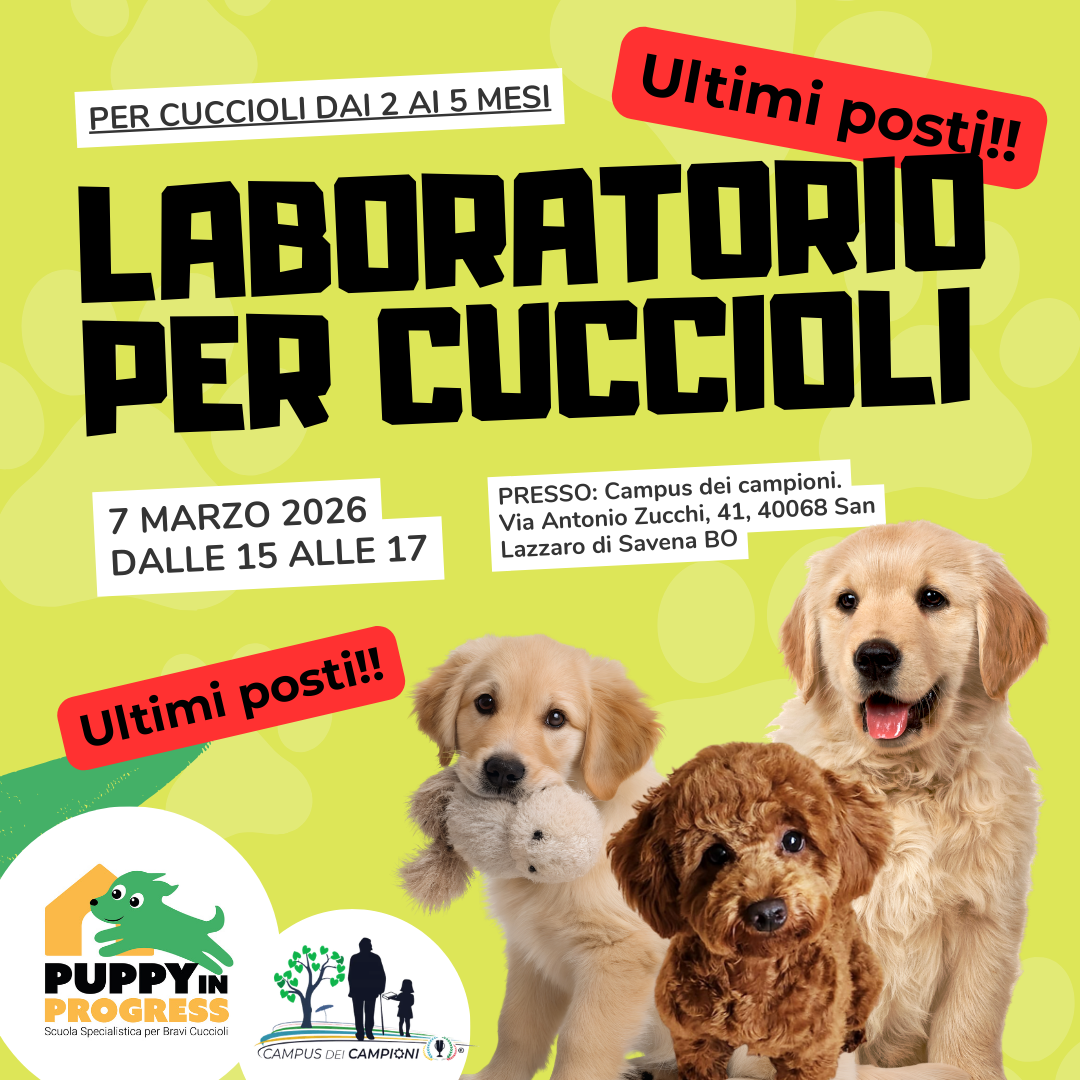 Puppy in Progress - Scuola specialistica per bravi cuccioli Facebook ad: Iscriviti ora