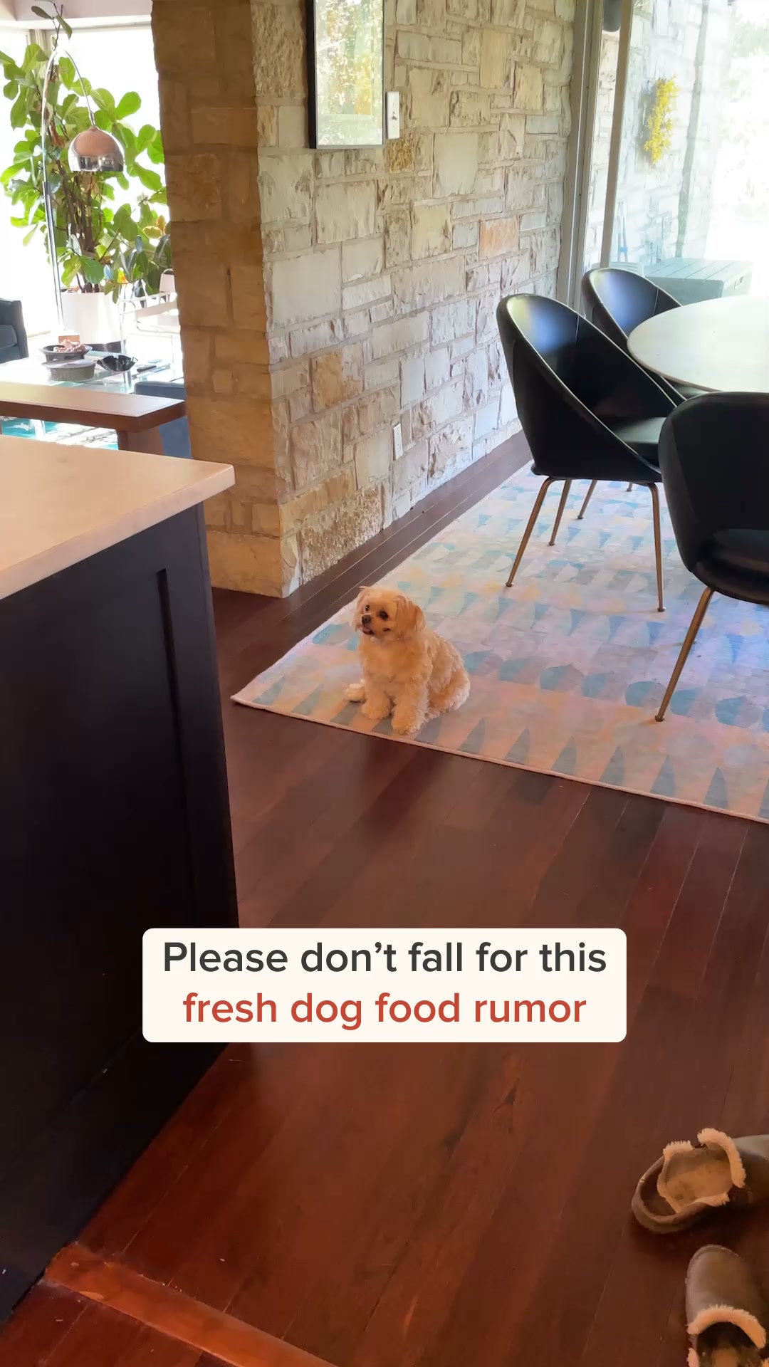 So Yummy Facebook ad: Fresh food designed for your dog