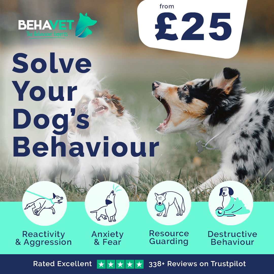 Behavet: The Pet Behaviour Experts Facebook ad