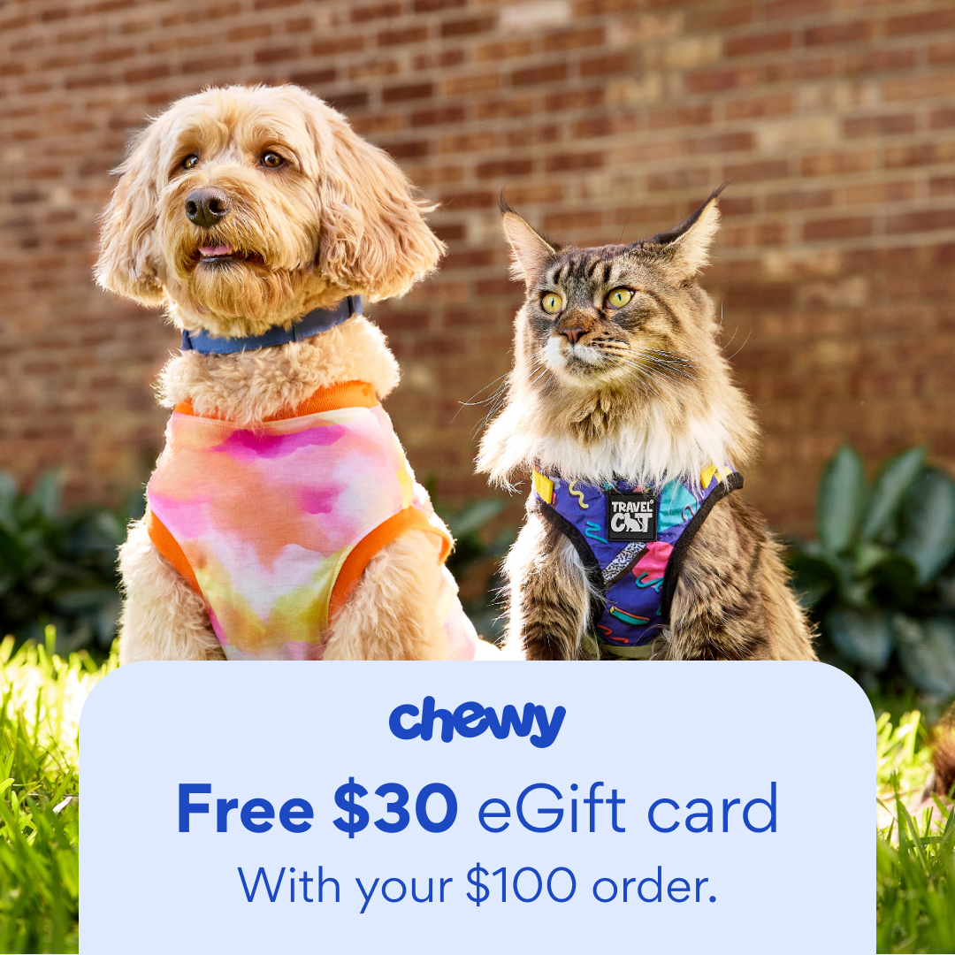 Chewy Facebook ad
