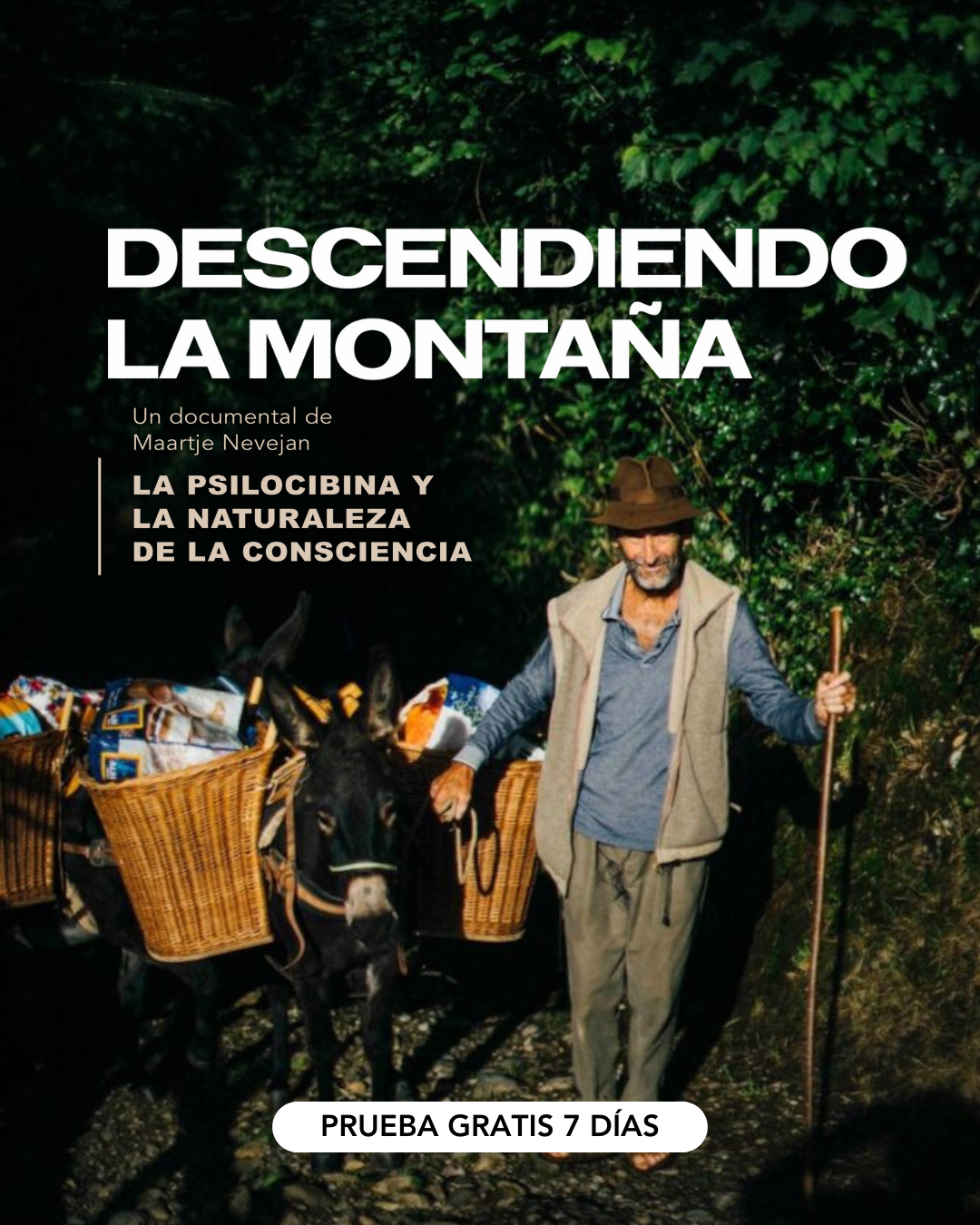 Tú eres Gaia Facebook ad