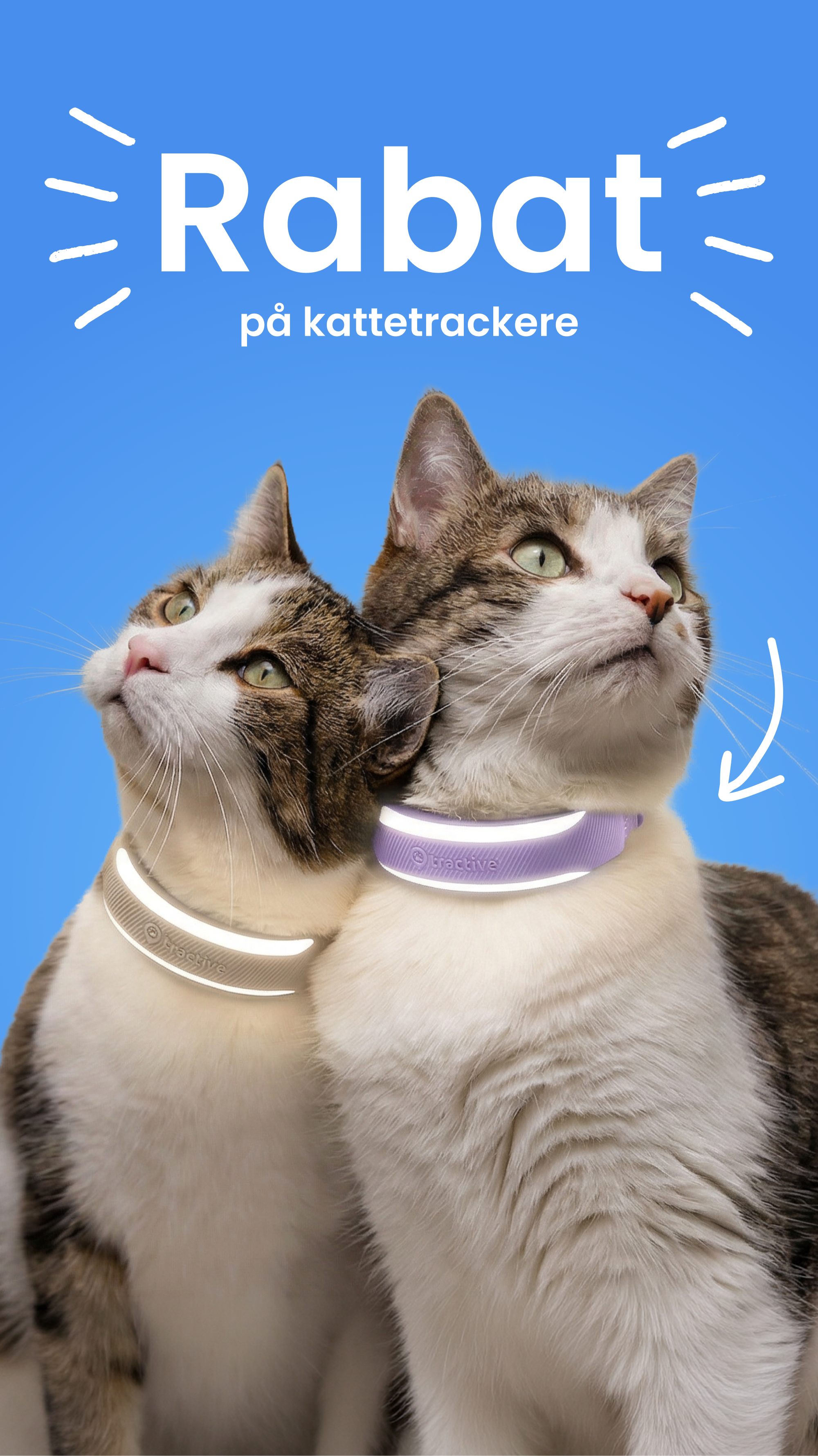 Tractive Facebook ad
