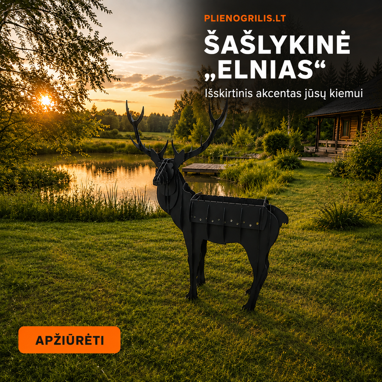 PlienoGrilis Facebook ad: Išskirtinės šašlykinės kiemui