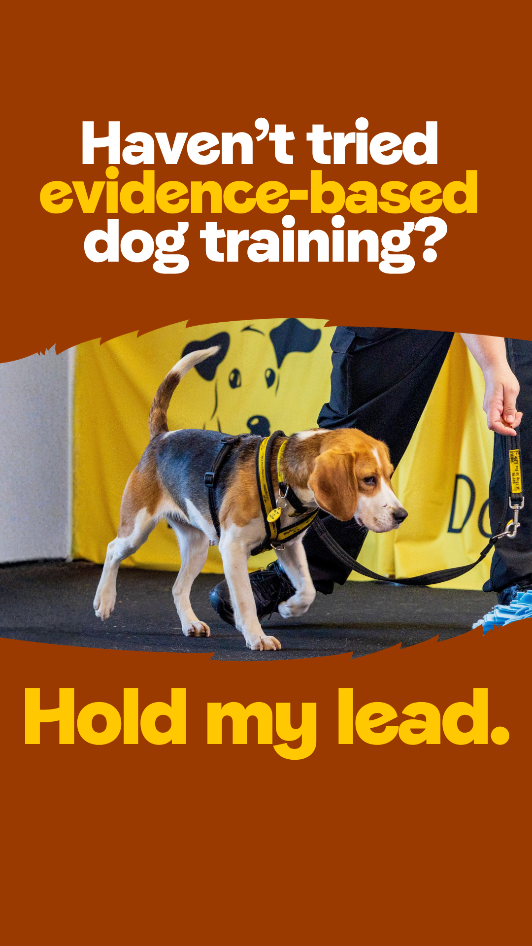 Dogs Trust Facebook ad