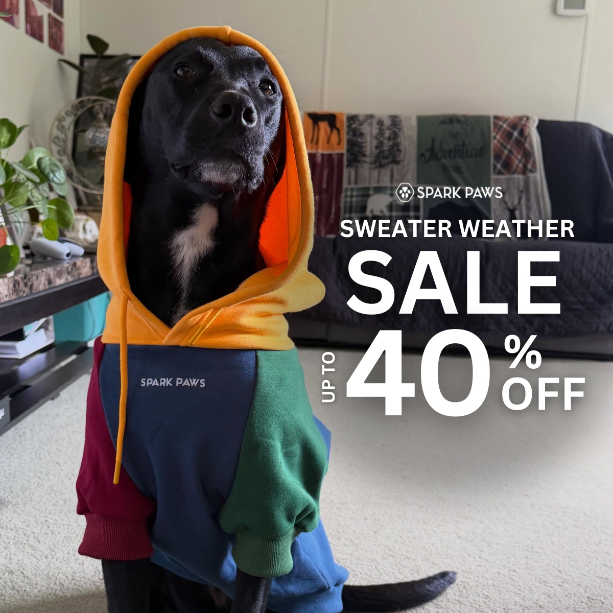 Spark Paws Facebook ad