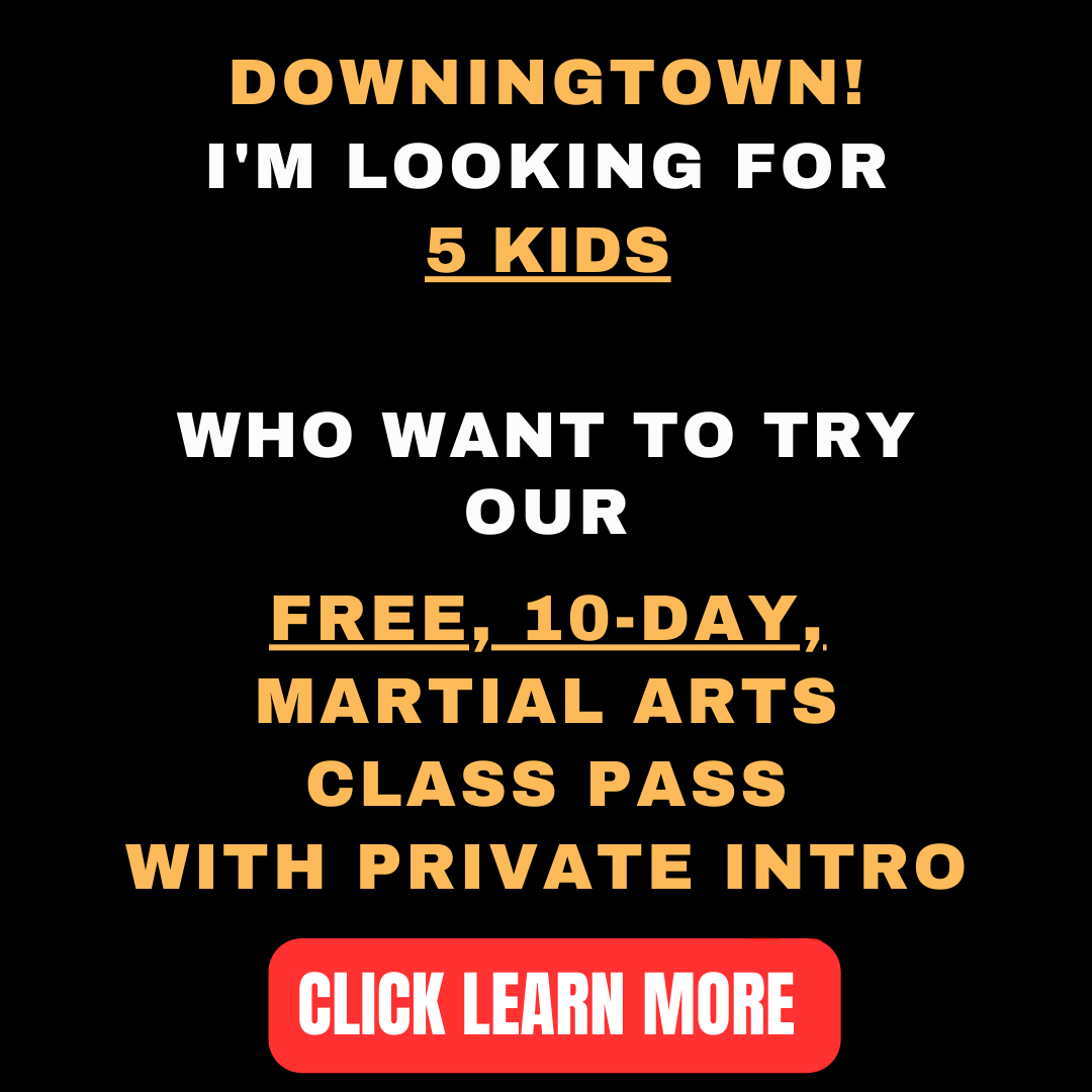 Lupo Taekwondo Facebook ad
