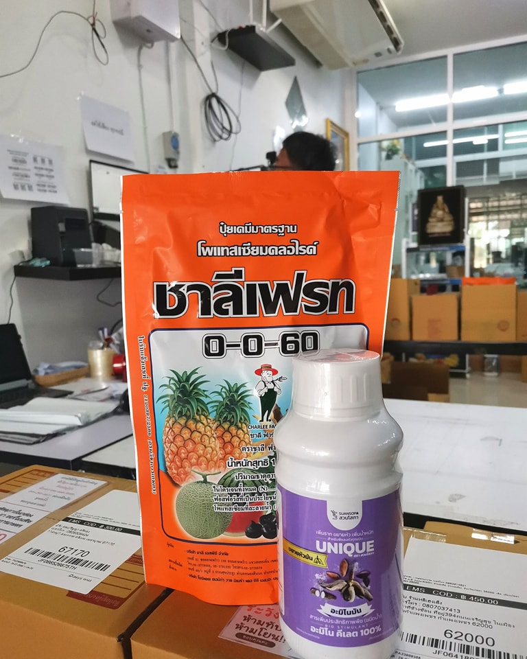 สวนโสภา Facebook ad