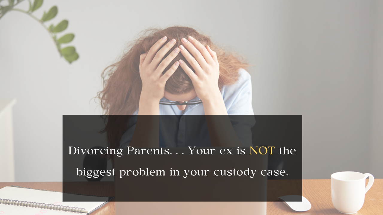 Janie Lanza Vowles DivorceCustody Lawyer + CoParenting Coach Facebook ad from May 20, 2026