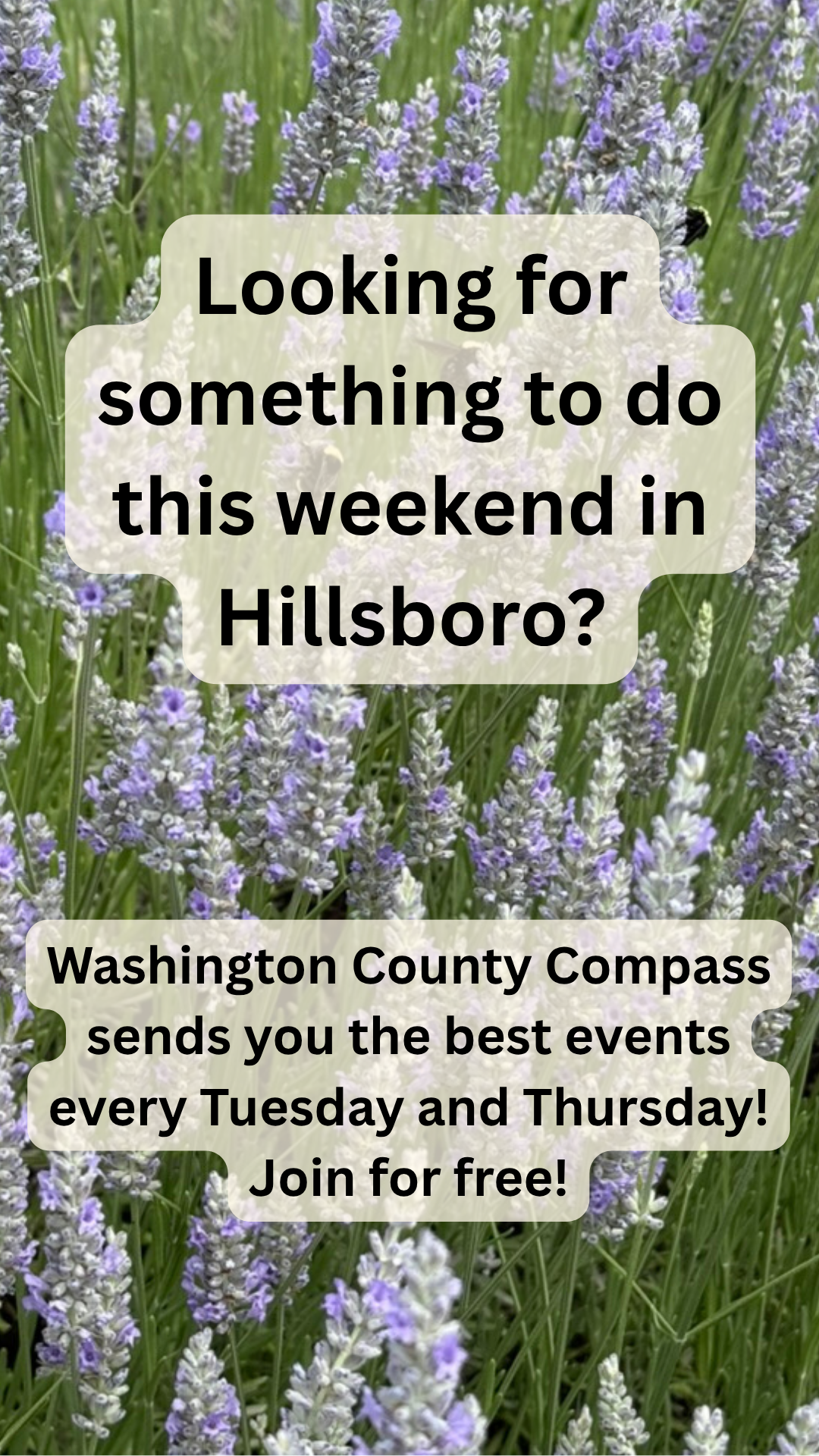 Washington County Compass Facebook ad