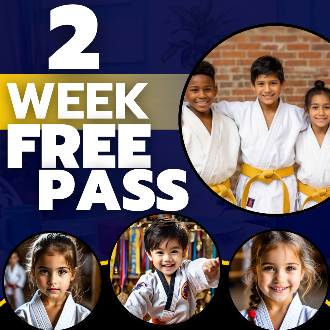 LX Jiu-Jitsu & Self Defense - Sugar Land, TX Facebook ad