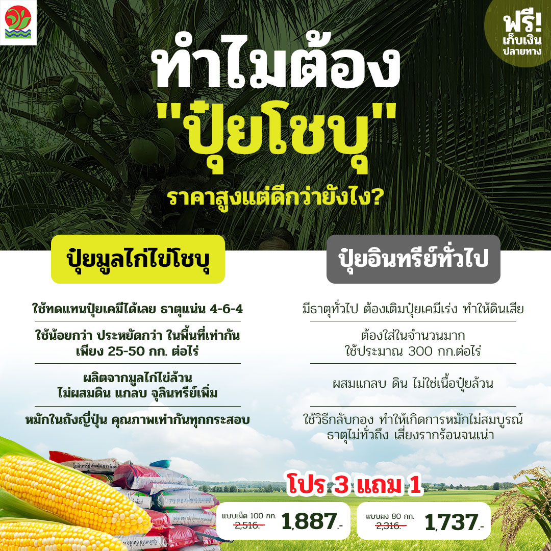 โชบุ ปุ๋ยที่ดีที่สุด เพจบริษัท Facebook ad