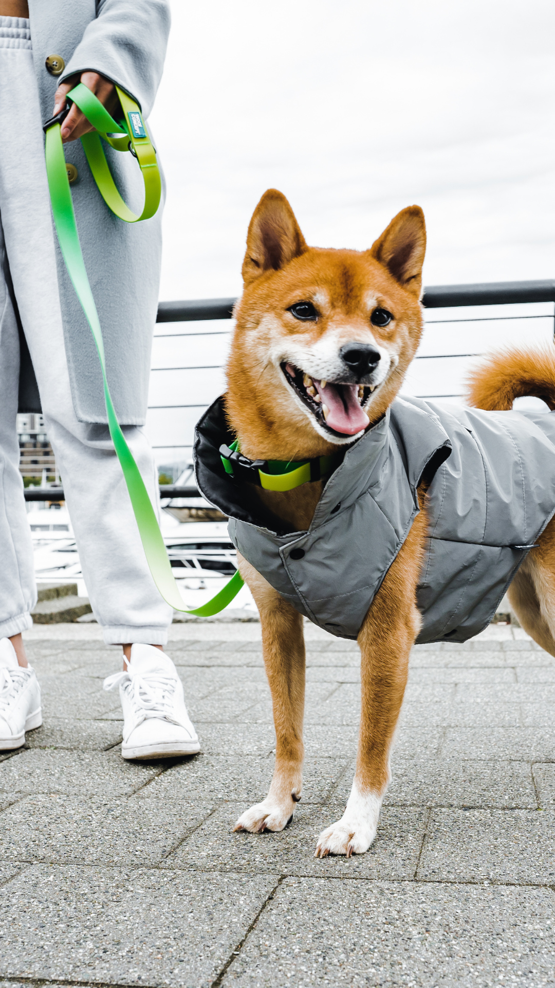 Woof Concept Facebook ad