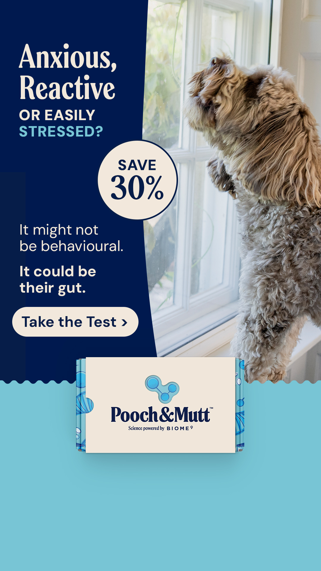 Pooch & Mutt Facebook ad