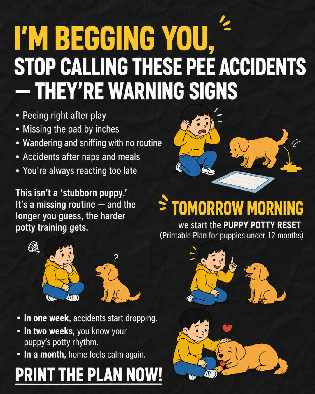 Ben Your Puppy Trainer Facebook ad