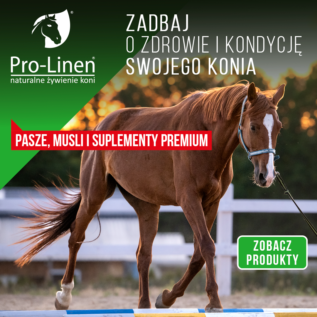 Pro-Linen Facebook ad: Pasze i suplementy premium