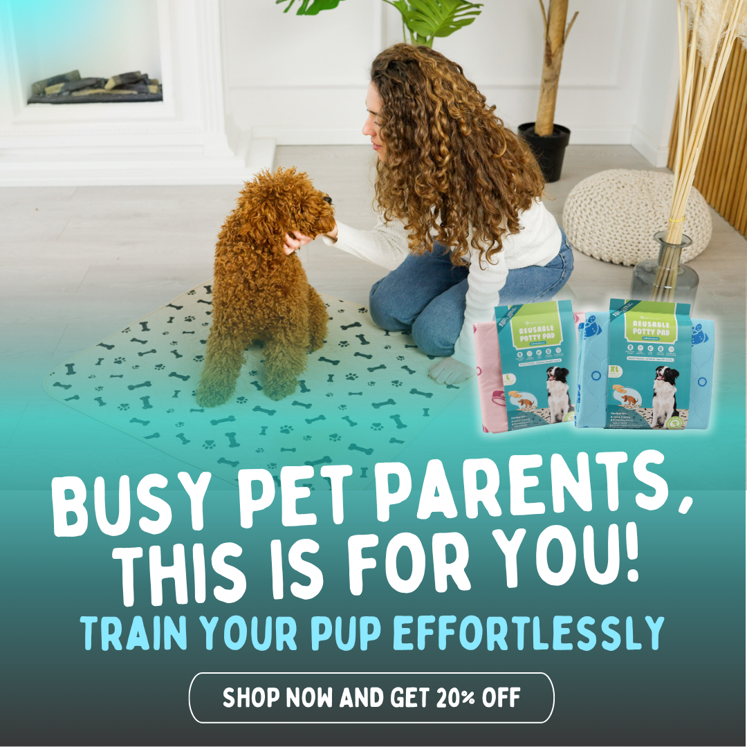 Potty Buddy Facebook ad
