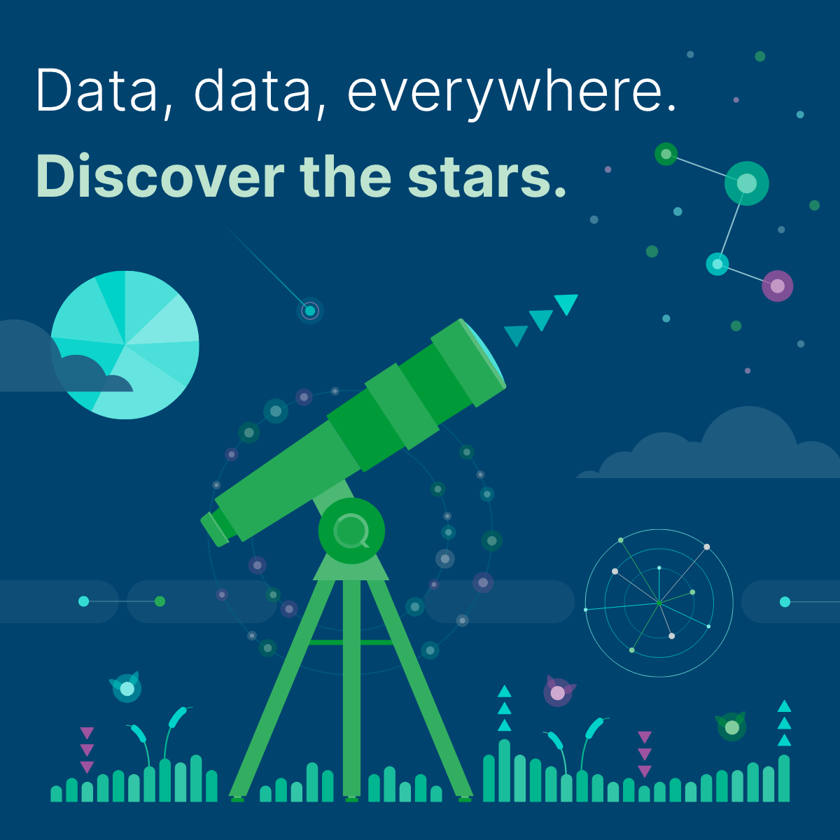 Qlik Facebook ad