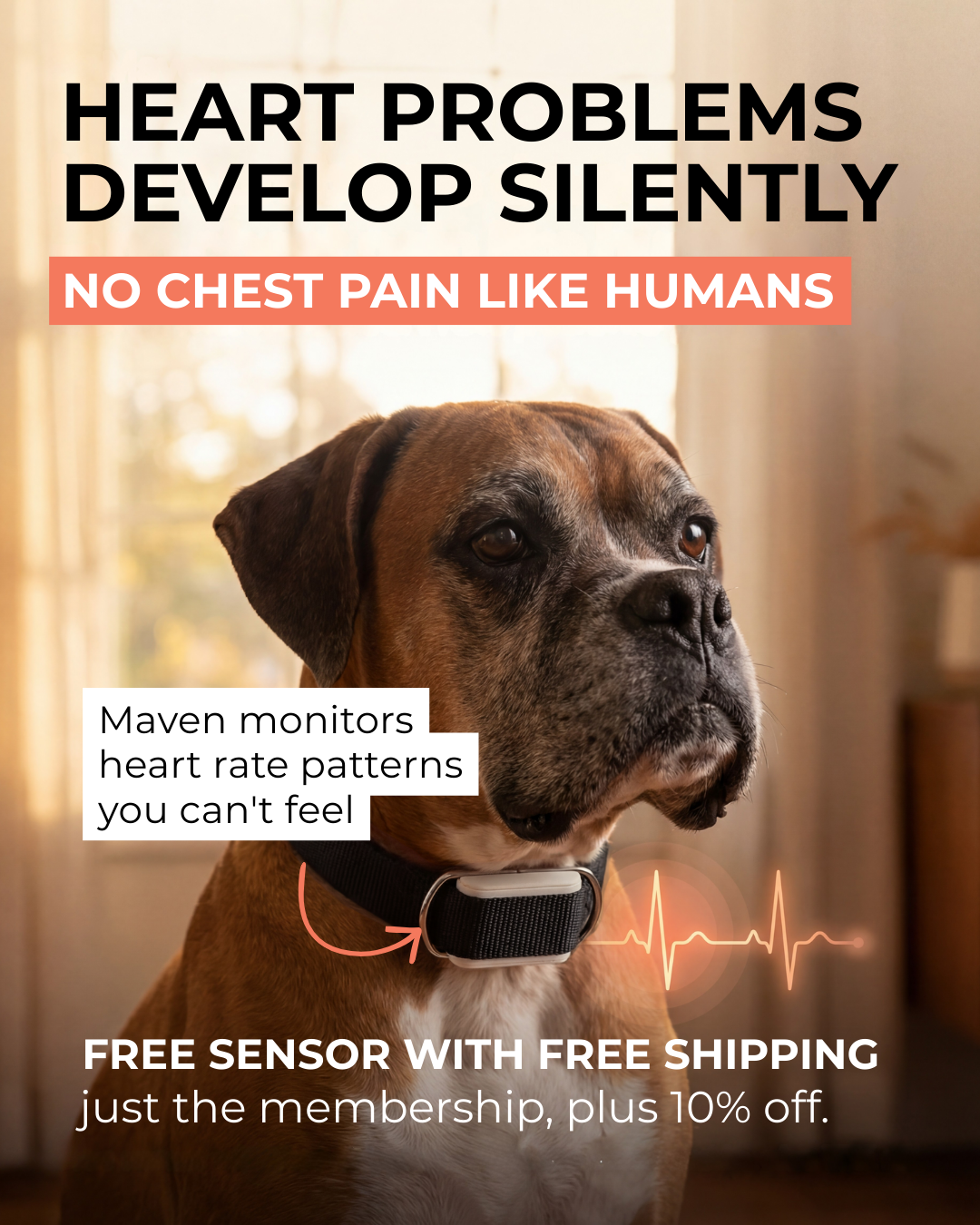 Maven Pet Facebook ad