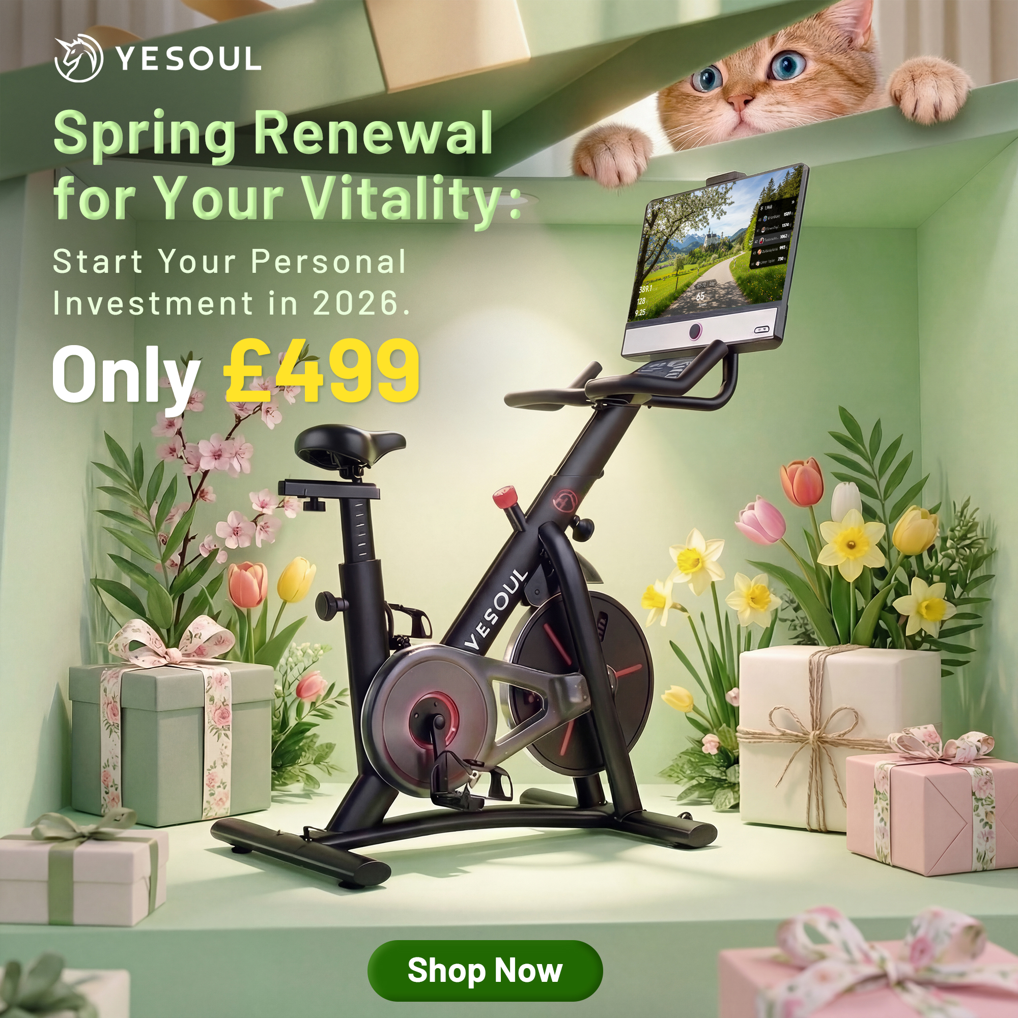 Yesoul Fitness United Kingdom Facebook ad