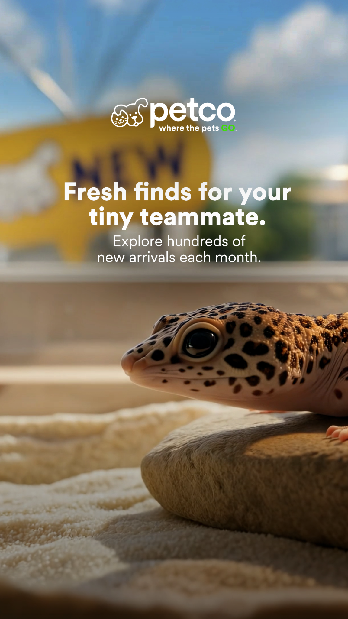 Petco Facebook ad
