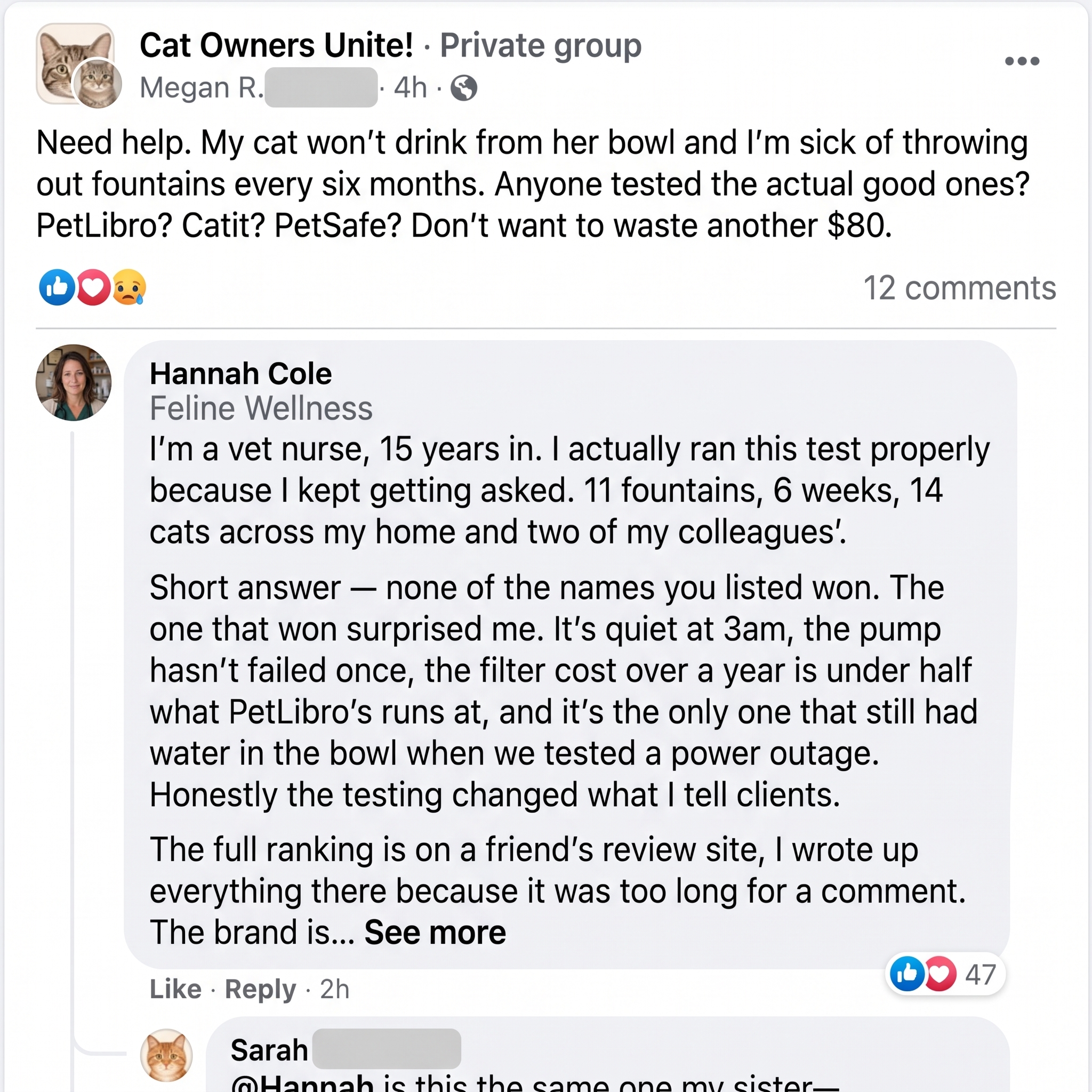 Dr. Hannah Cole, DVM Facebook ad: The only cat fountain that never refilters old water