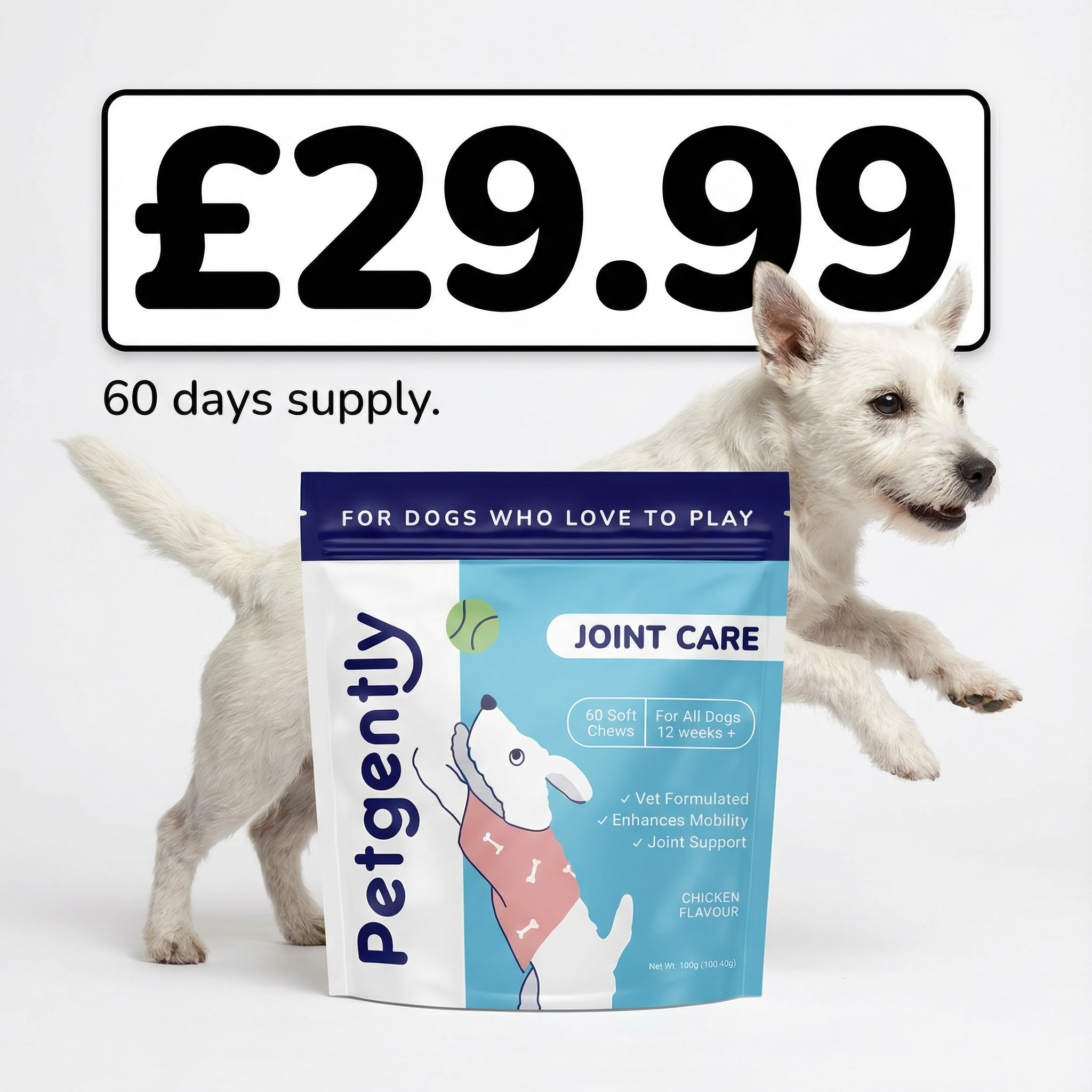 Pet Gently Facebook ad