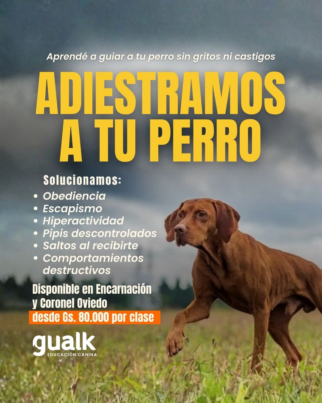 Gualk Facebook ad