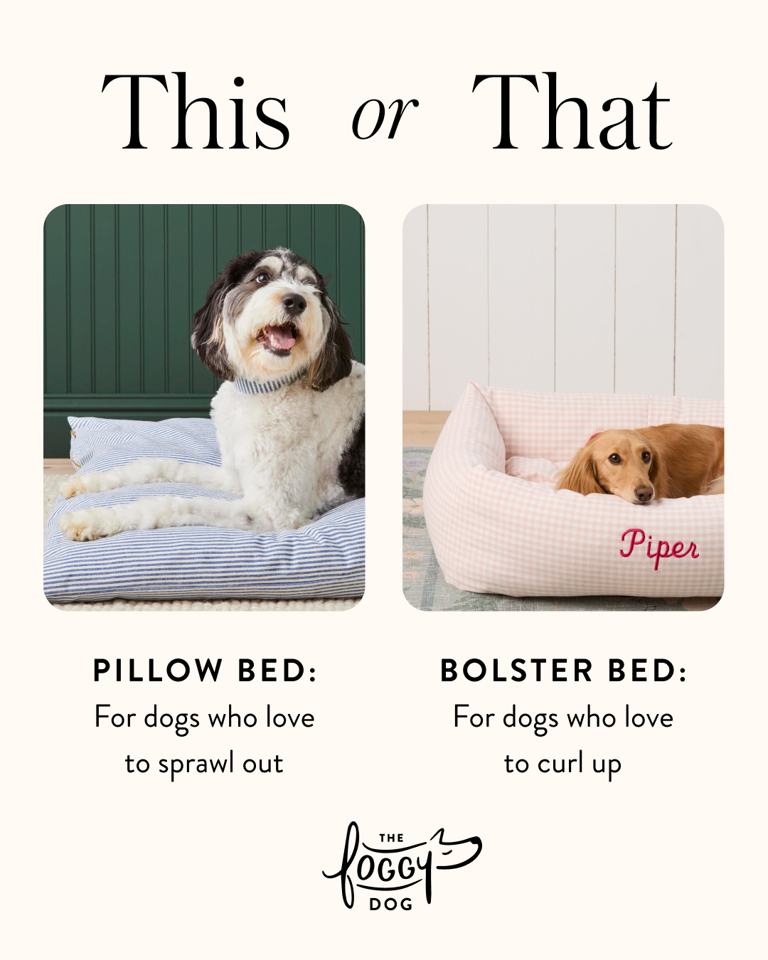 The Foggy Dog Facebook ad