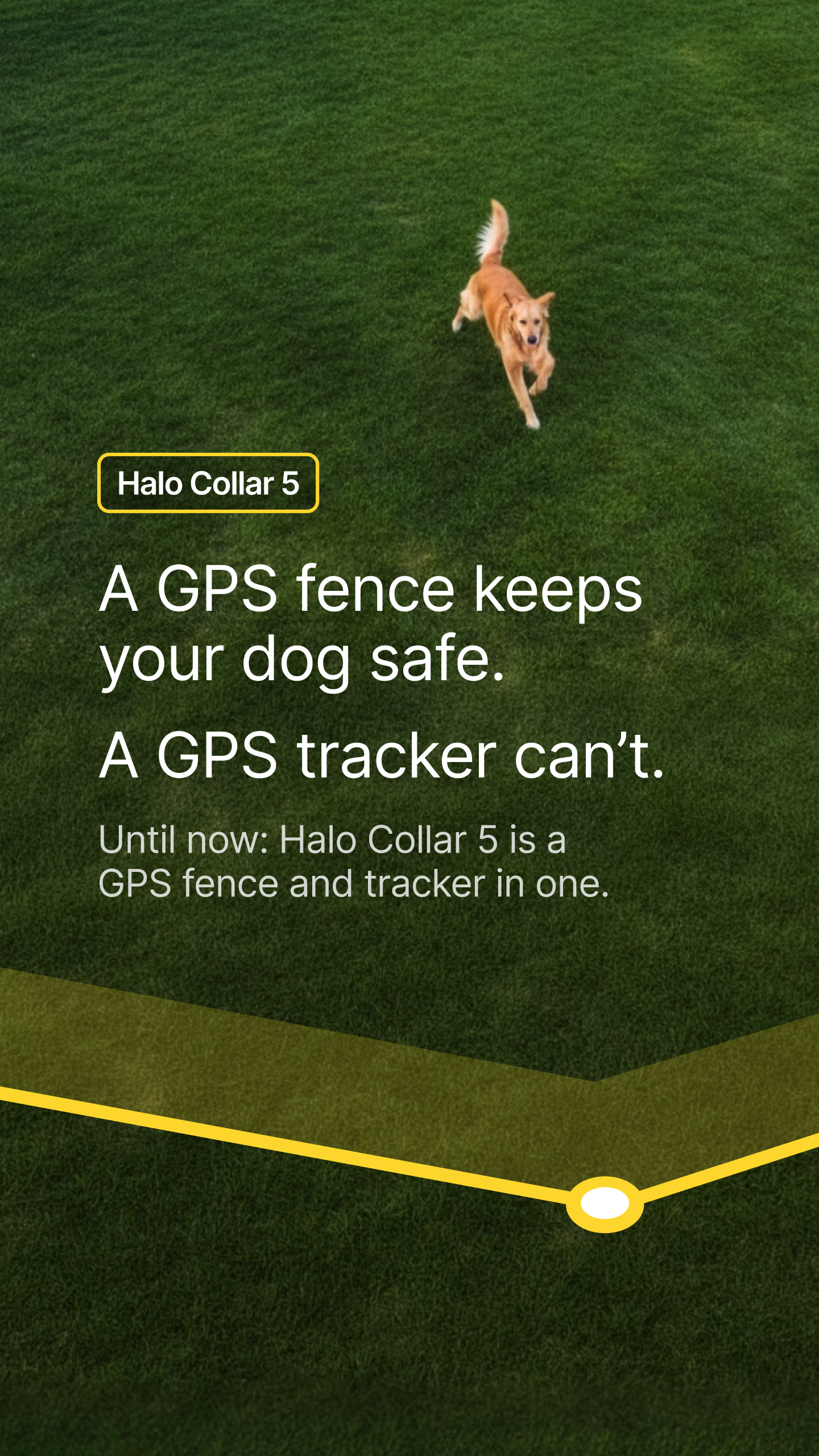 Halo Collar Facebook ad