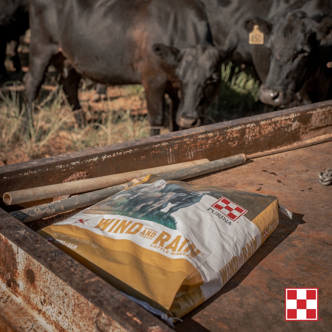 Purina Livestock Facebook ad: Keep them performing year-round