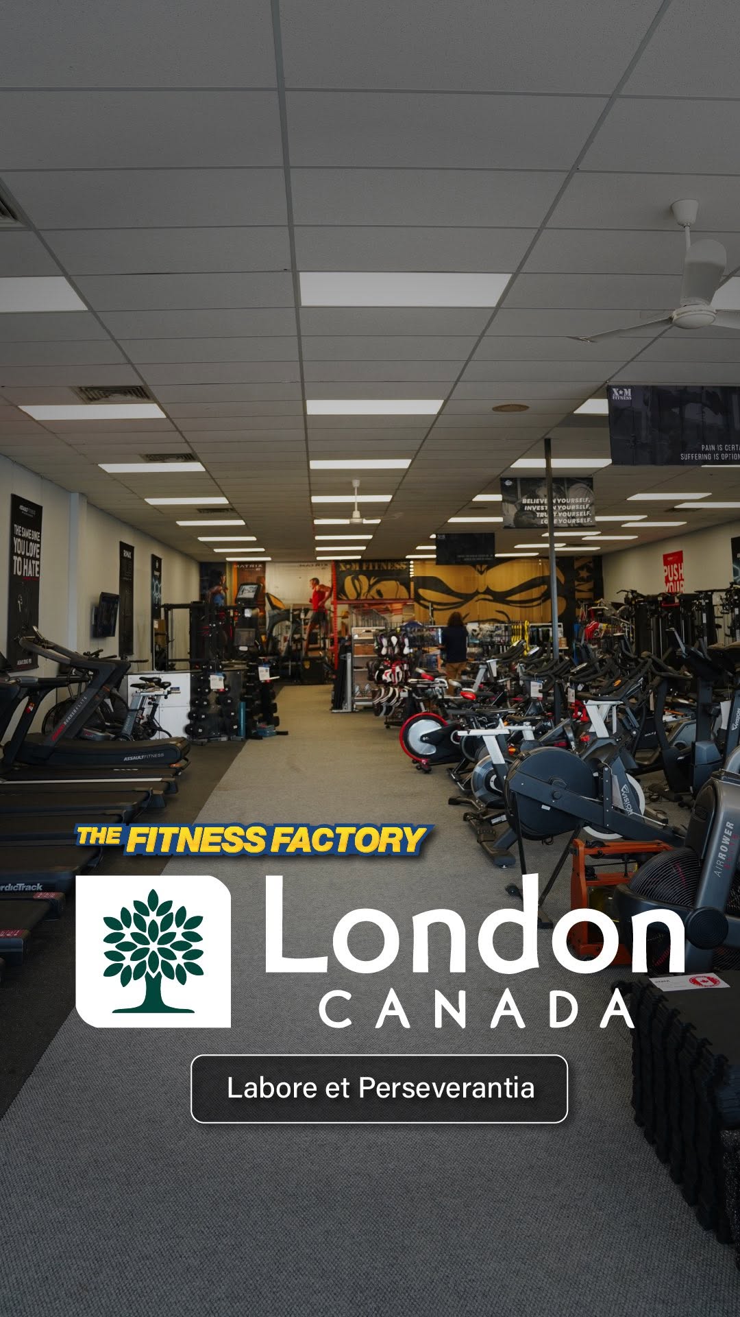 The Treadmill Factory Facebook ad