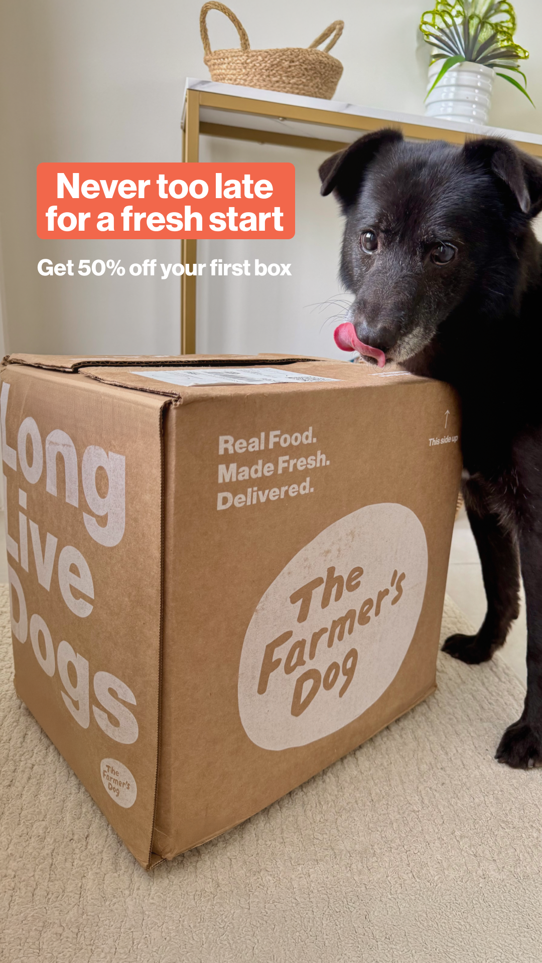 The Farmer's Dog Facebook ad