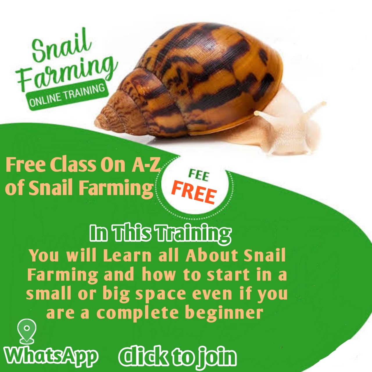 Snail Farming Facebook ad from Dec 13, 2024