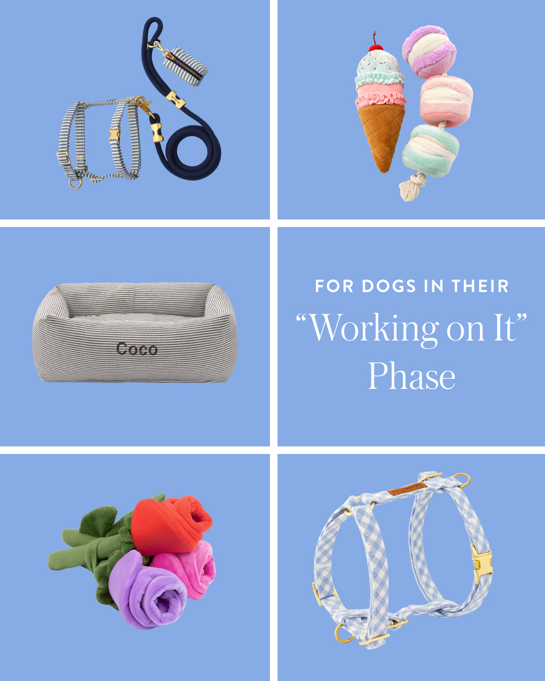 The Foggy Dog Facebook ad