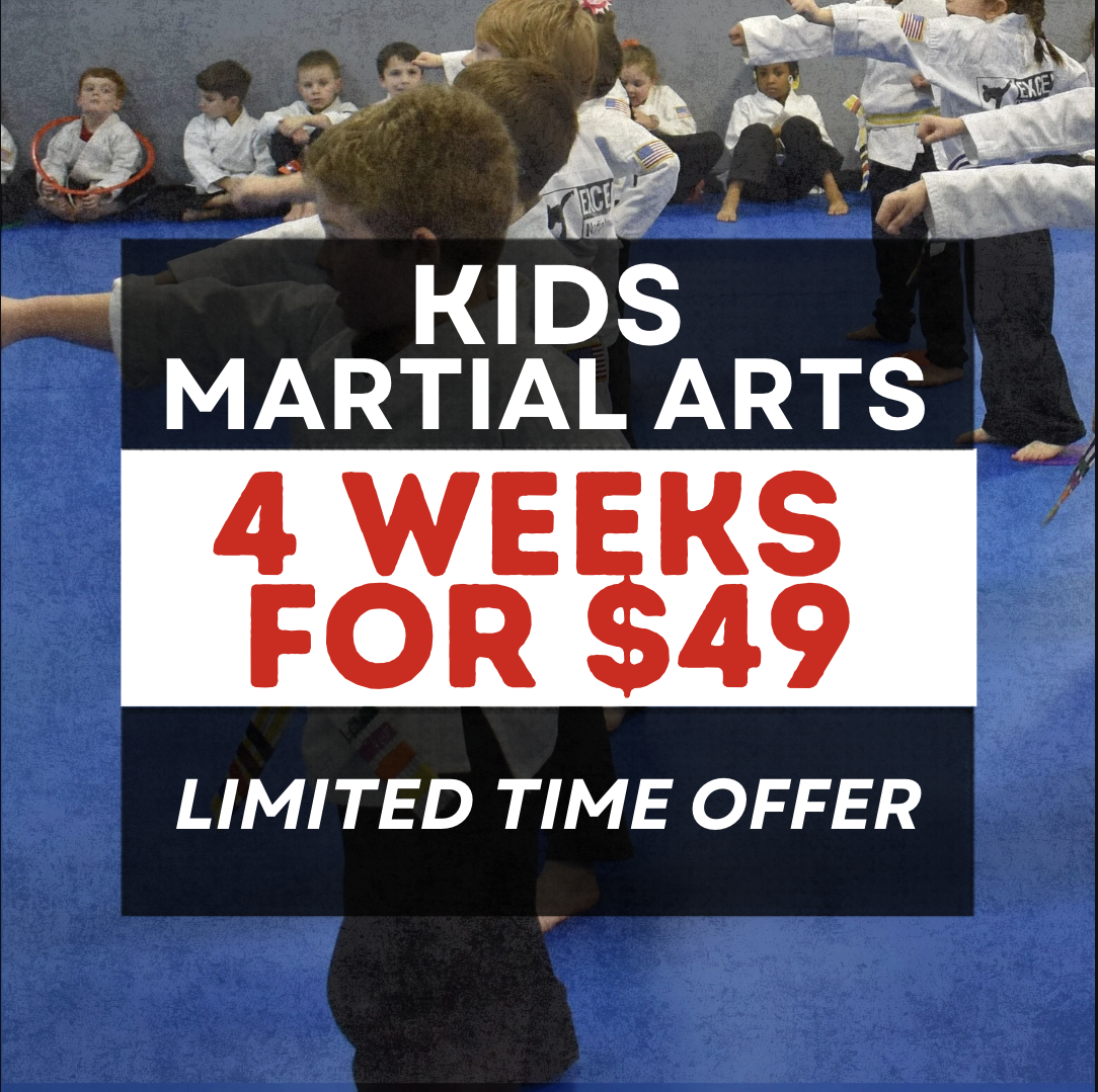 Excel Martial Arts Facebook ad