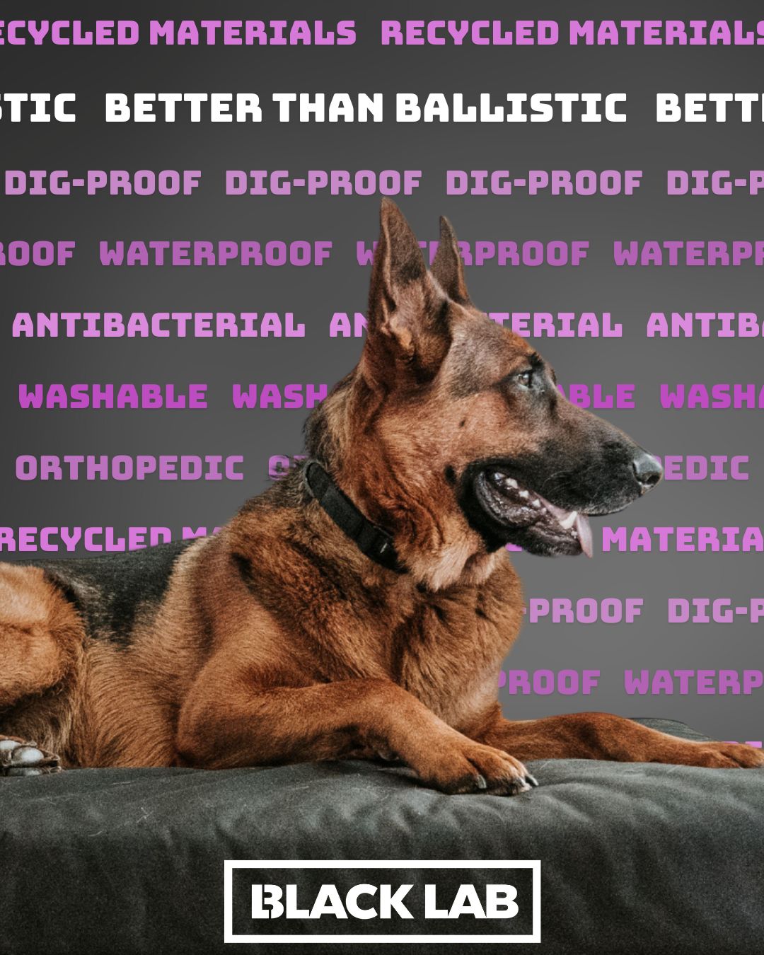 Black Lab Brands Facebook ad