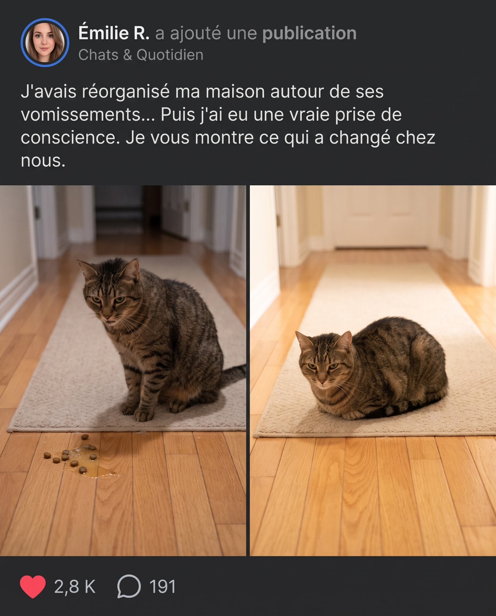 Sophie Martin Facebook ad: STOP: ne changez pas encore ses croquettes