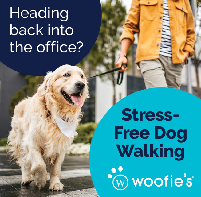 Woofie's of Fairfax Facebook ad: Stress-Free Dog Walking