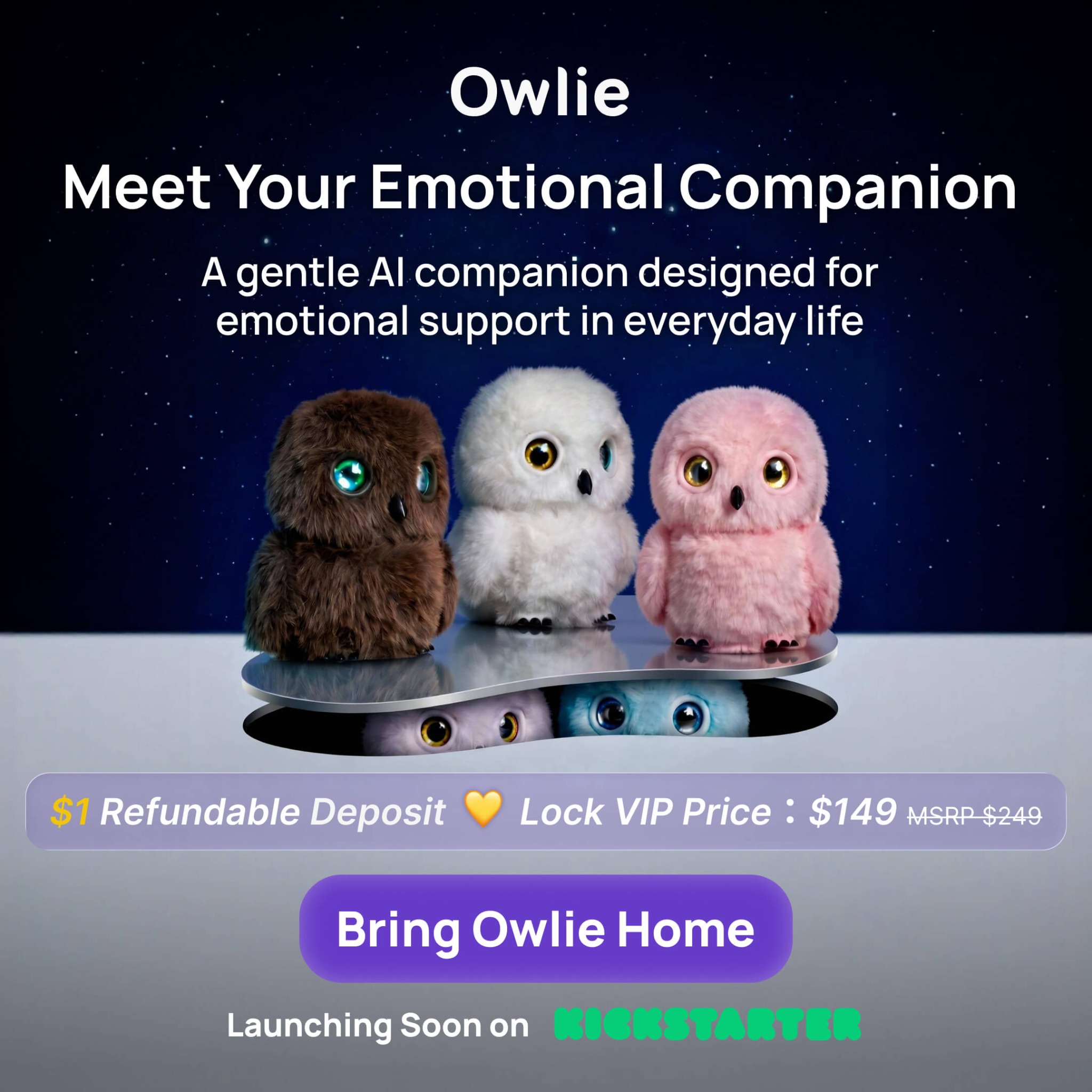 Owlie Facebook ad