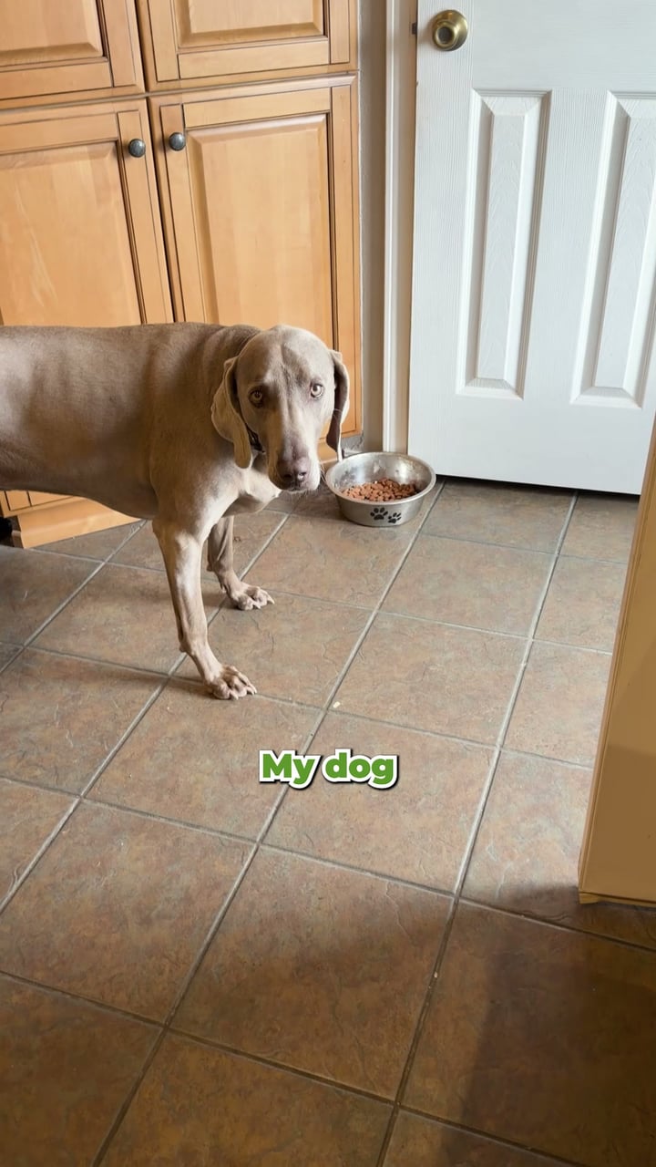 Only Natural Pet Facebook ad: Just Add Water. Real Food.