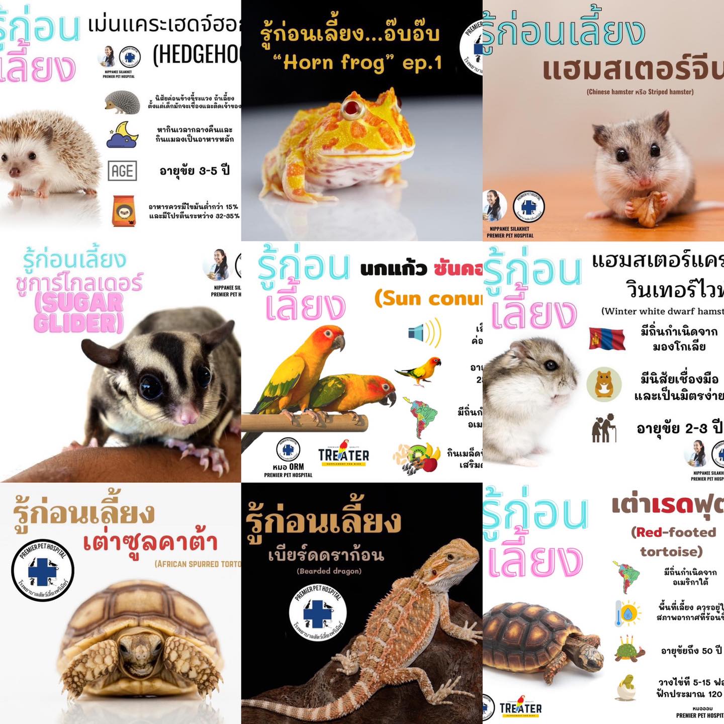 โรงพยาบาลสัตว์เลี้ยงพรีเมียร์ Premier Pet Hospital Facebook ad: โรงพยาบาลสัตว์เล?
