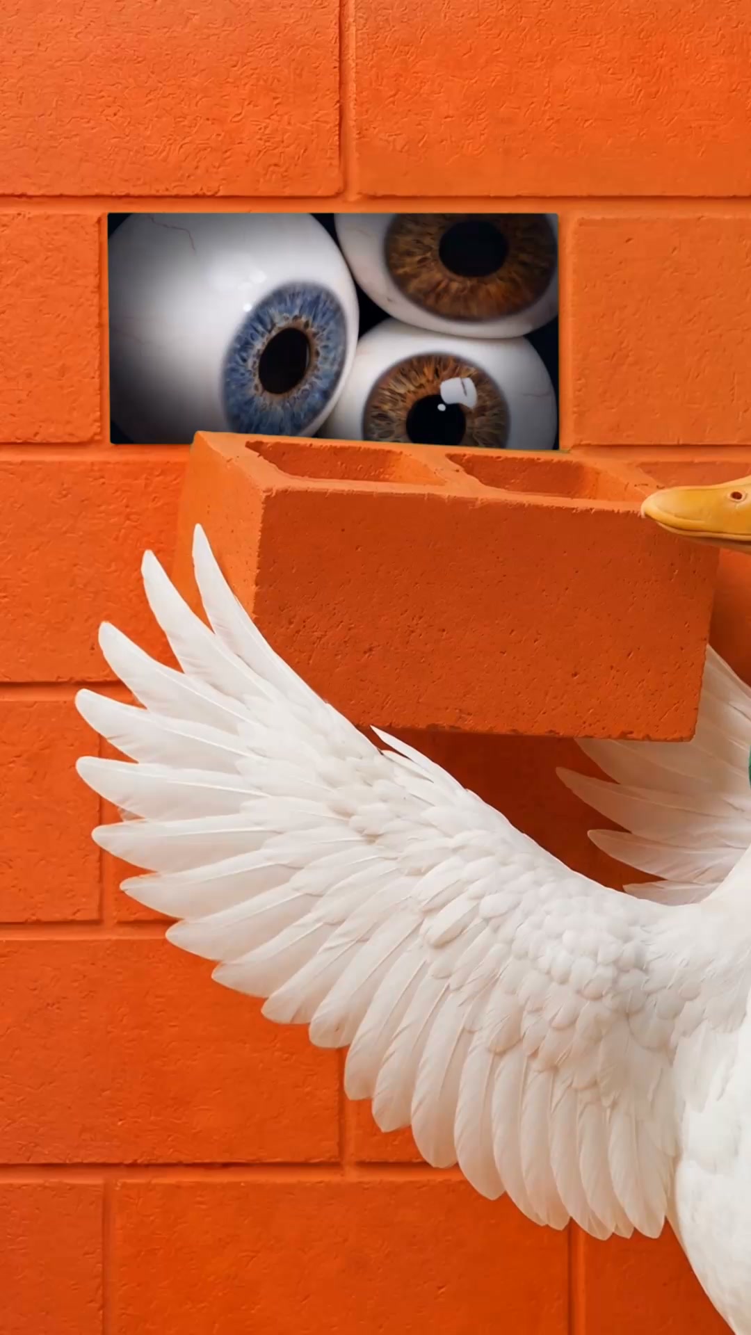 DuckDuckGo Facebook ad: Duck.ai. Private AI chat. Free.