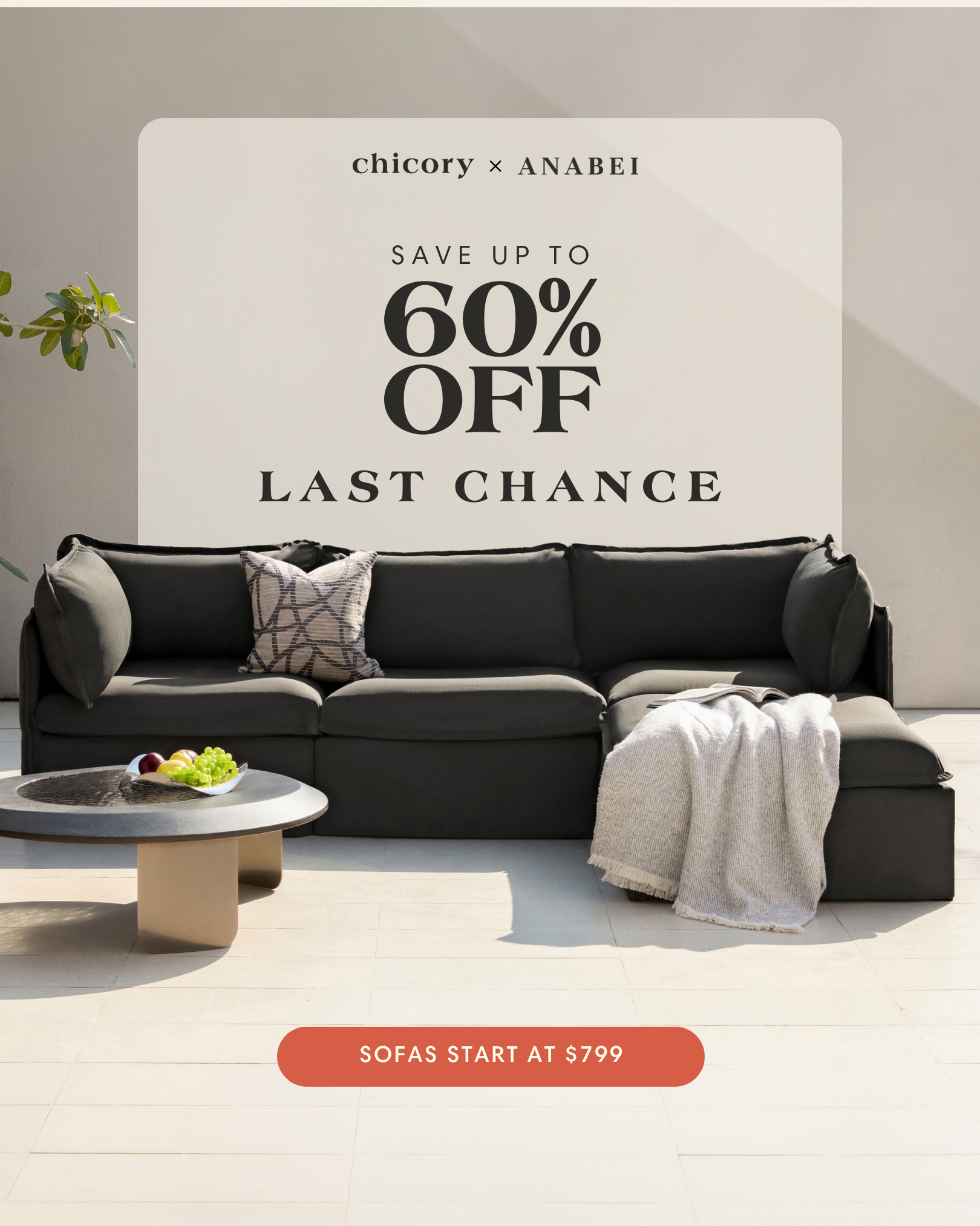 Chicory Facebook ad