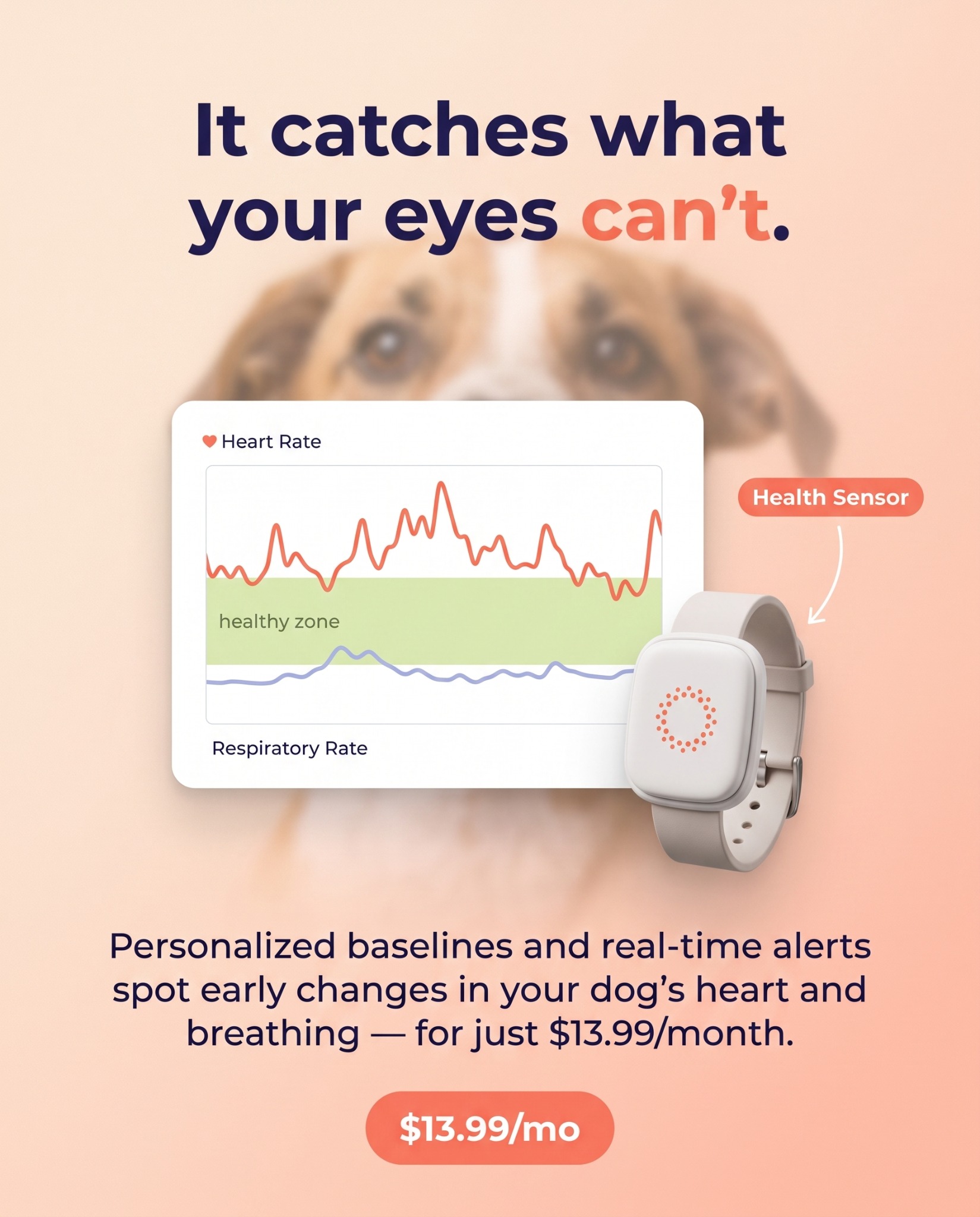 Maven Pet Facebook ad