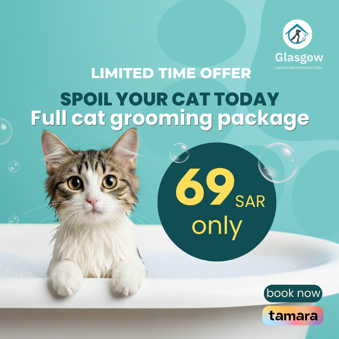 Glasgowvet.sa Facebook ad