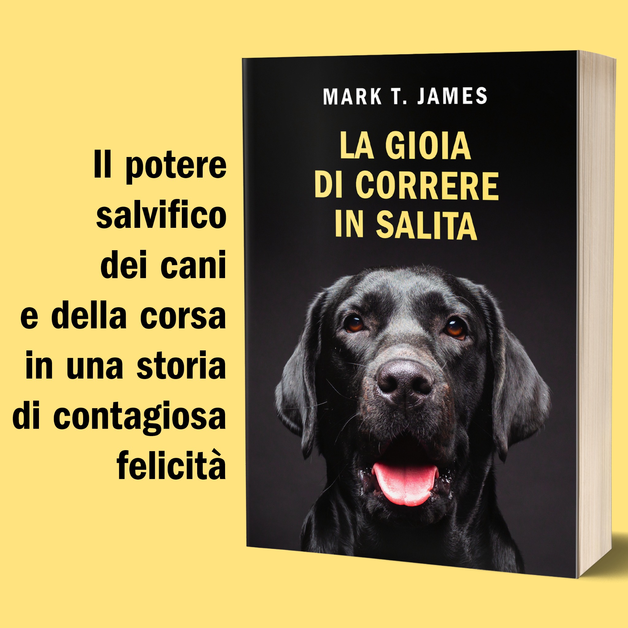 La gioia di correre in salita - Il libro Facebook ad